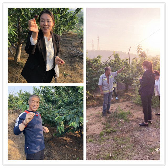 Agin games·(中国)有限公司官网