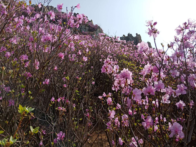 Agin games·(中国)有限公司官网