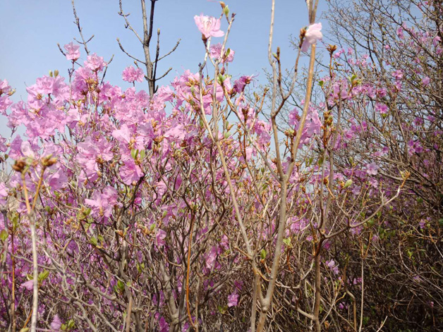 Agin games·(中国)有限公司官网